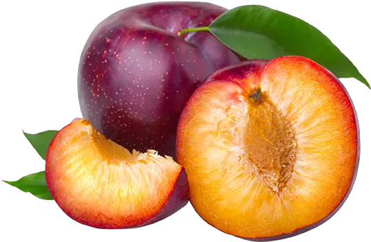 Plum Png Transparent Images Plum Png