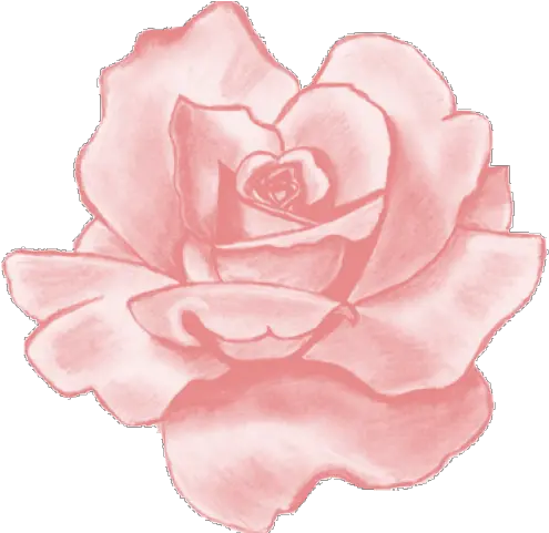 Pink Rose Clipart Png Tumblr Pink Flower Aesthetic Stickers