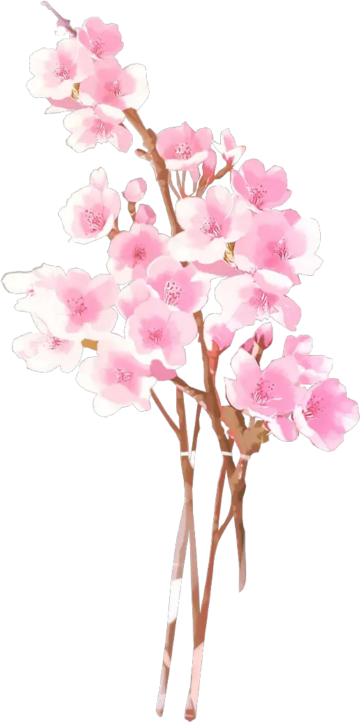 Anime Flowers Png