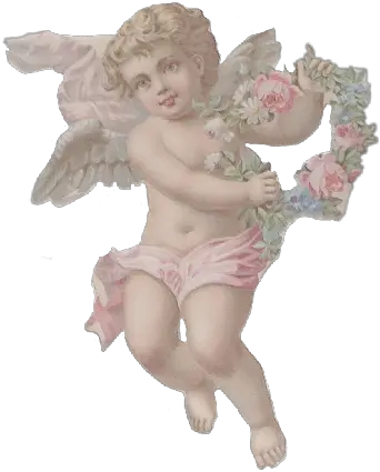 aesthetic aestheticangels angels angelic dolly Aesthetic Baby Angel Png