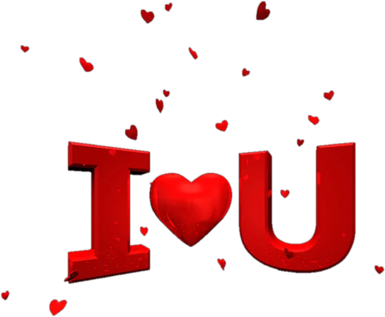 Transparent I Love You Png Just In Case I Haven T Told You Lately I Love You