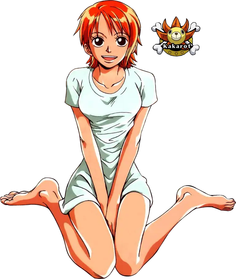 One Piece Nami Pre Timeskip