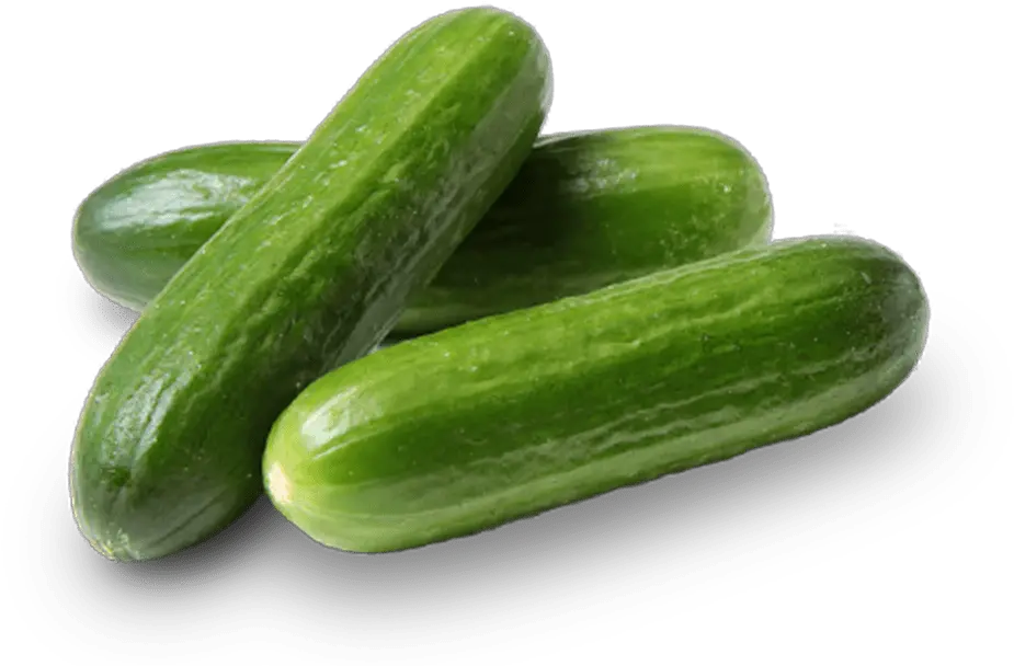 Three Bulk Pure Flavor Poco Bites Cucumbers Cucumber