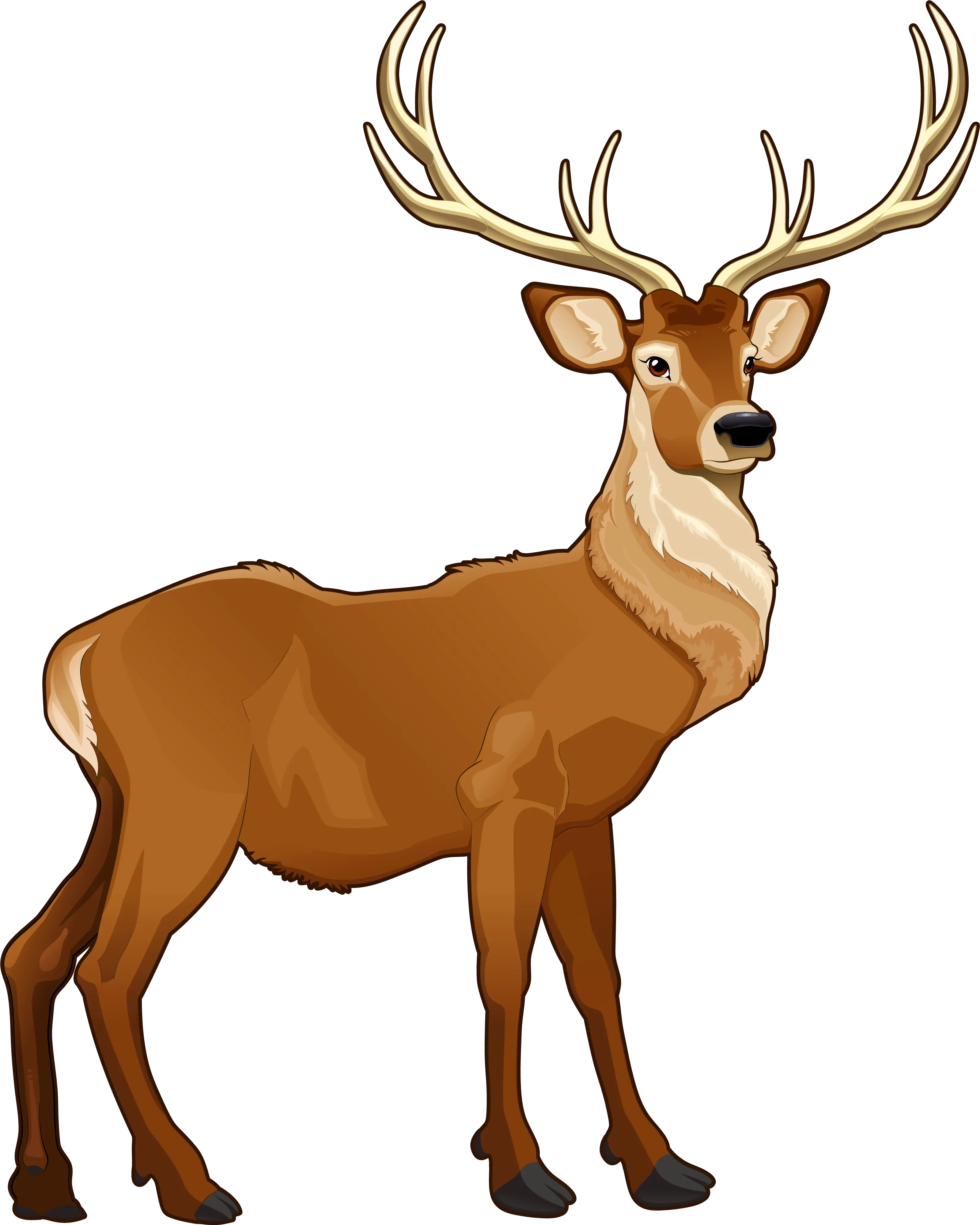 Deer Clipart Png Reindeer Clipart