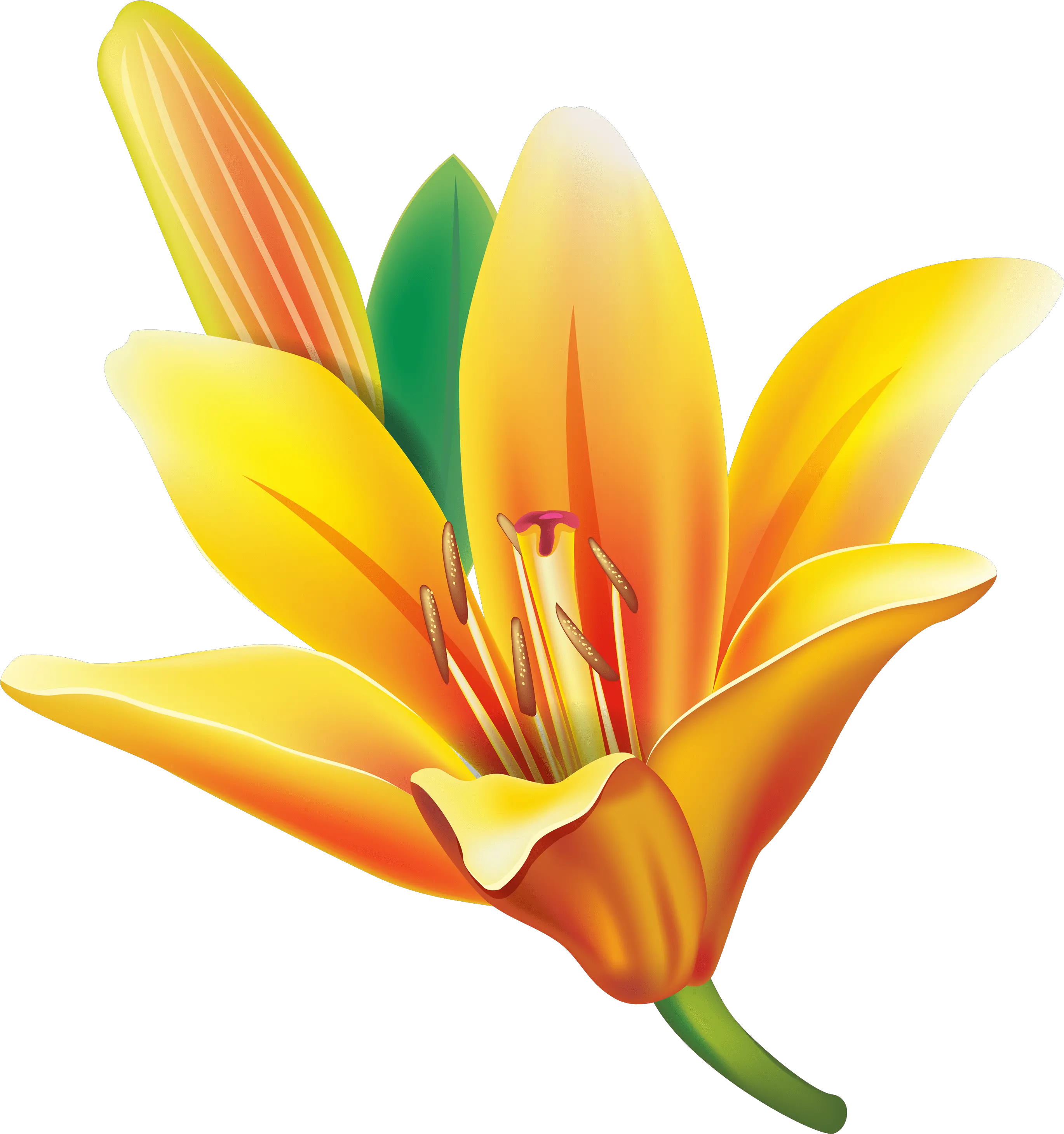 Yellow Bell Flower Png Clipart