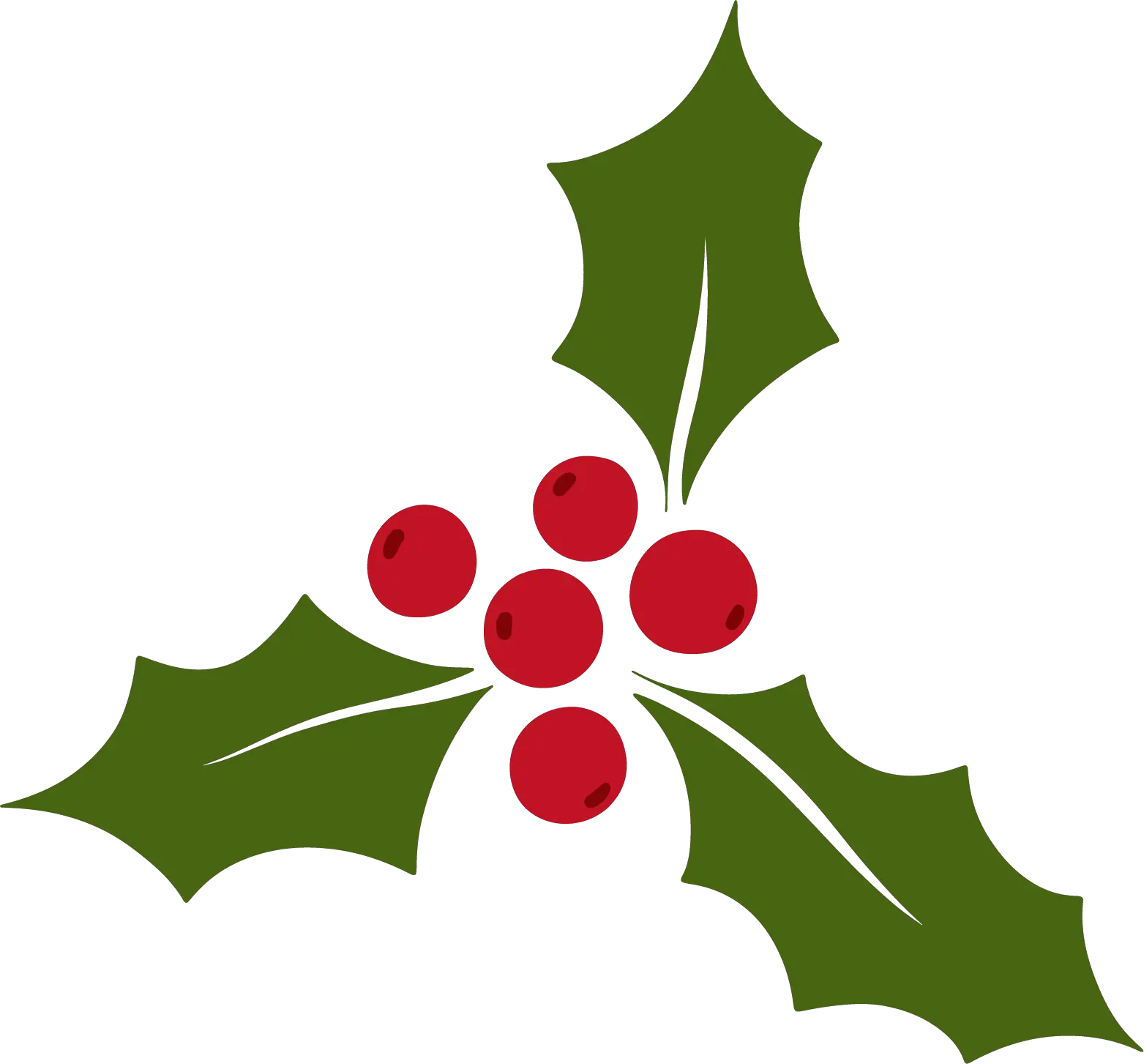 Mistletoe Png