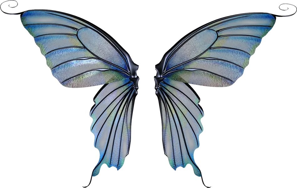 Transparent Background Fairy Wings Png