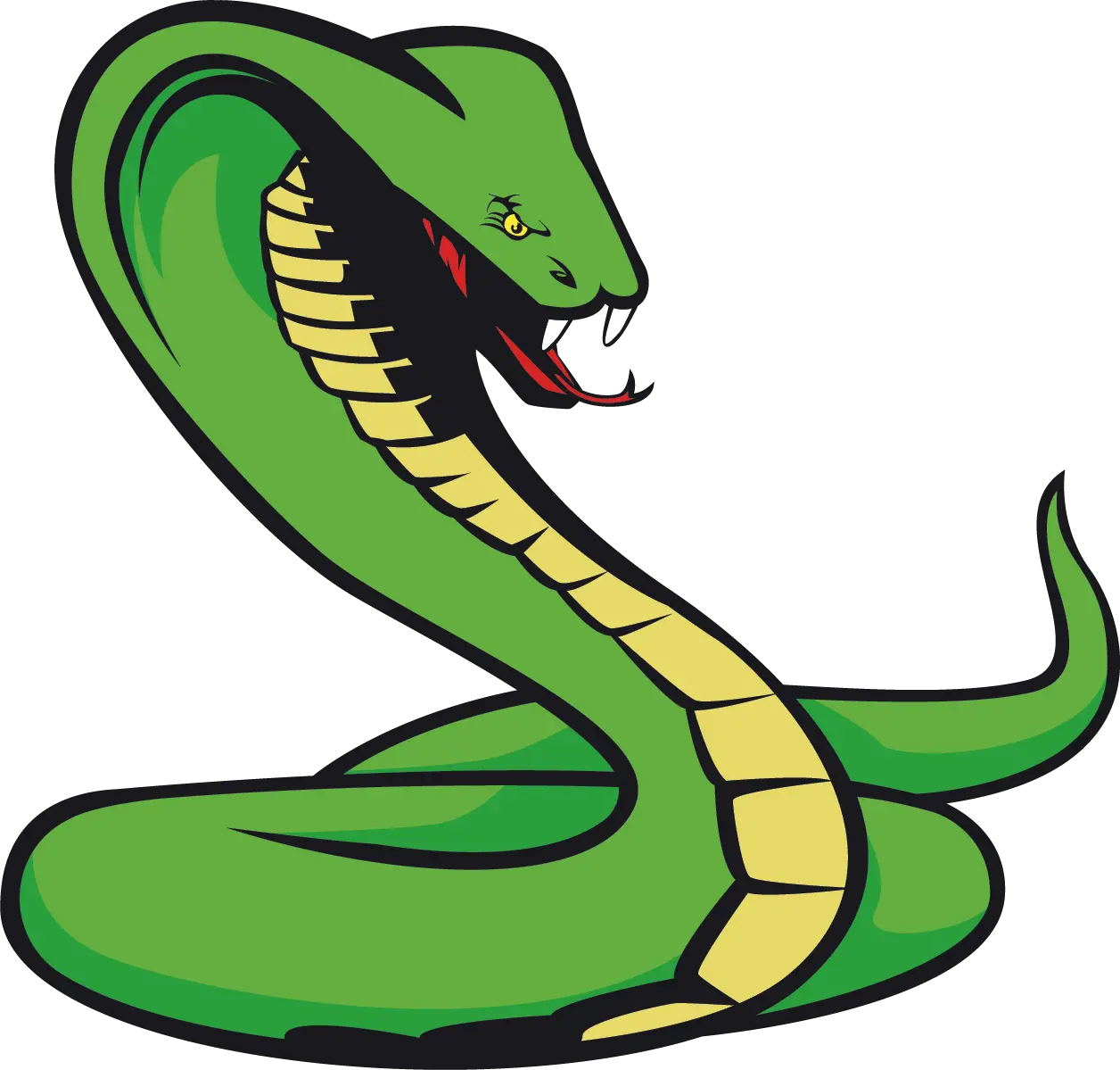 Transparent Background Snake Cartoon