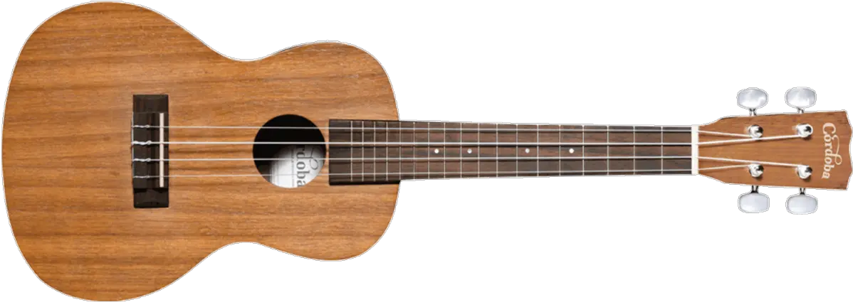 Up100 Ukulele Pack Ukulele Guitar