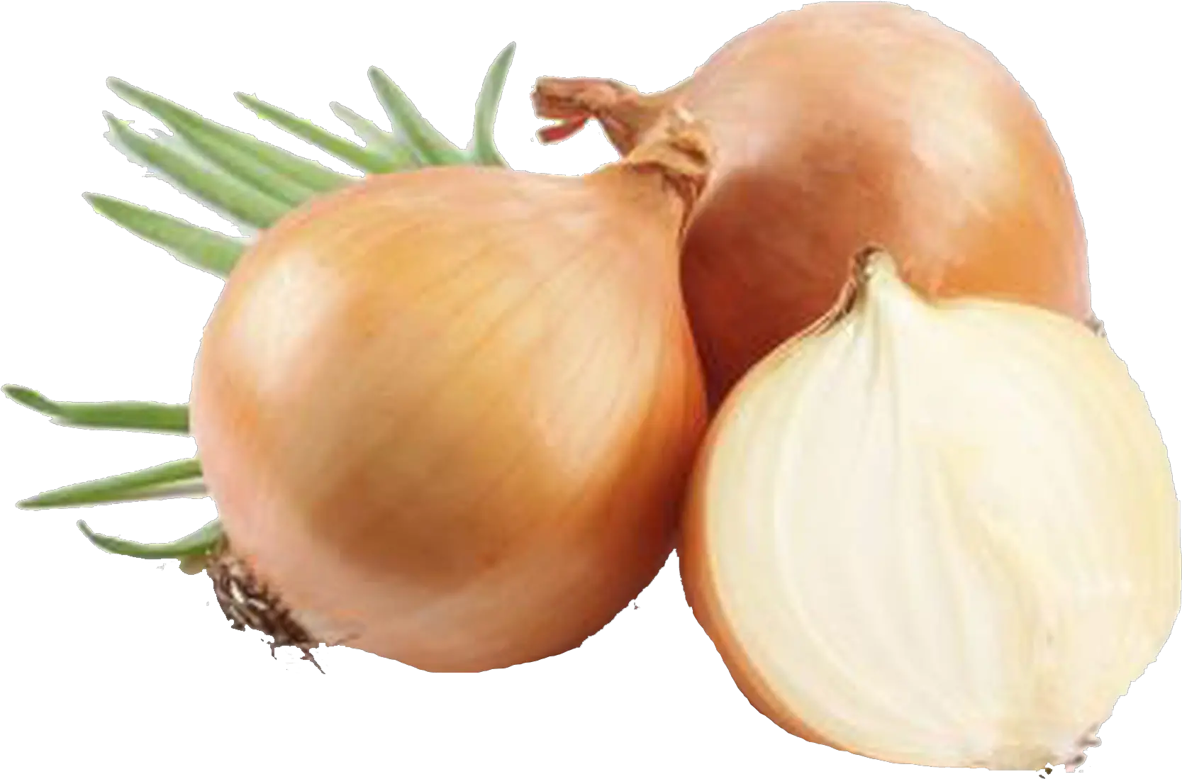 Onion Png Background Clipart Yellow Onions