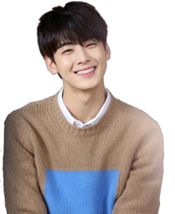 chaeunwoo eunwoo astro brown winter smile pullover Cha Eun Woo Smile