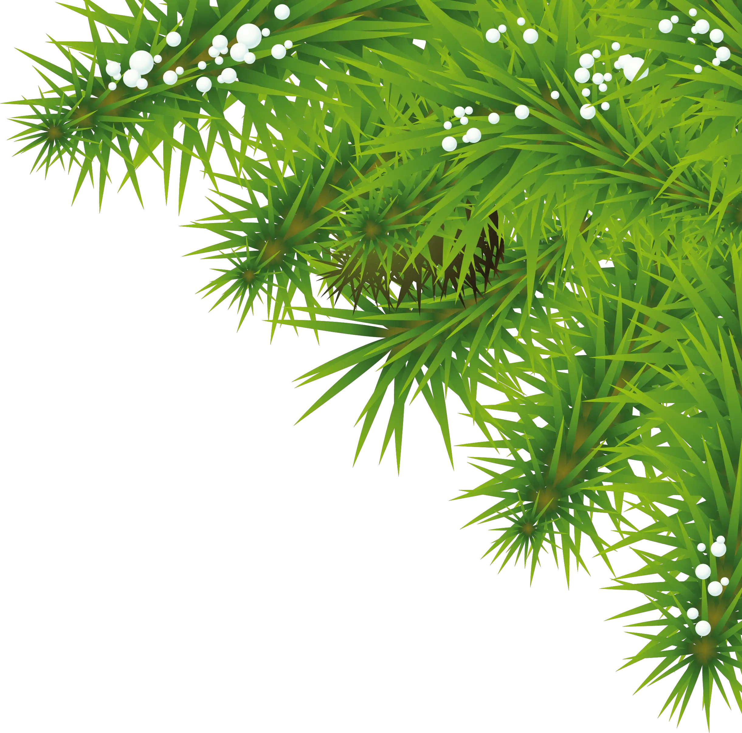 Tree Branches With Leaves Png Tree Png Background Hd