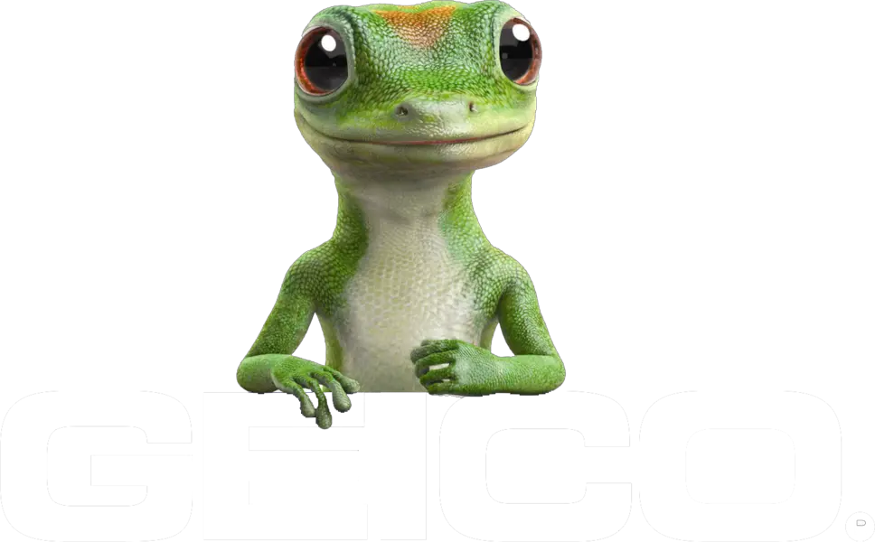 Transparent Geico Lizard Png Geico Insurance