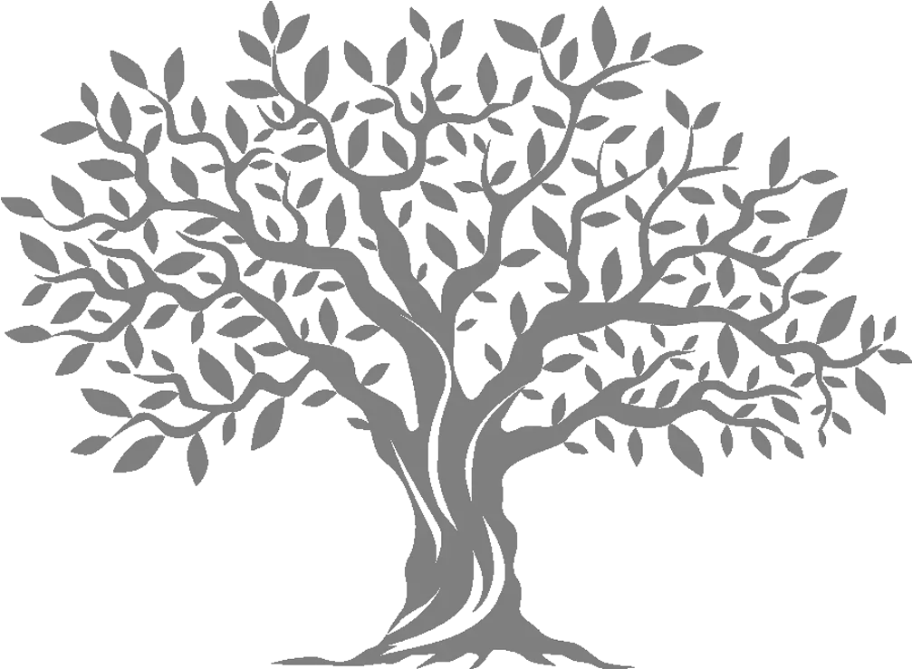 Olive Tree Computer Icons Olive Tree Silhouette Png