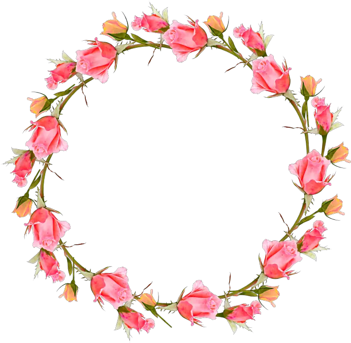 roses circle stickers garland floral wreaths Transparent Background Flower Wreath