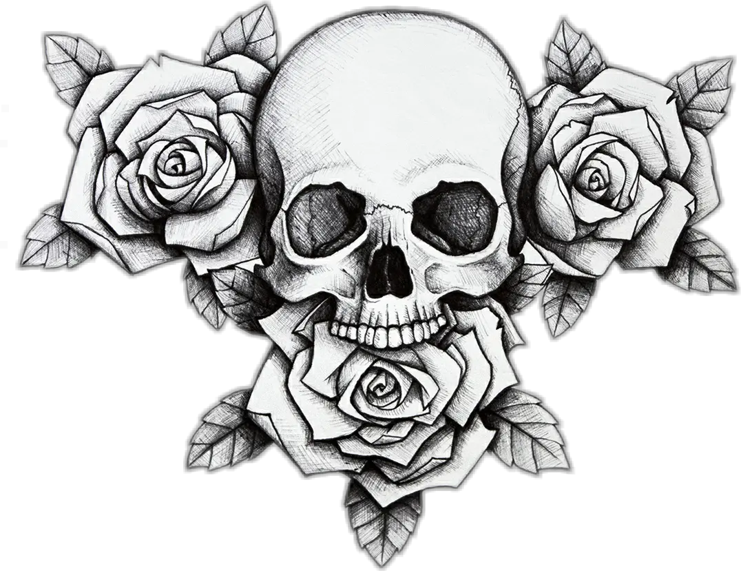 skull flower rose dead Skull And Rose Drawing