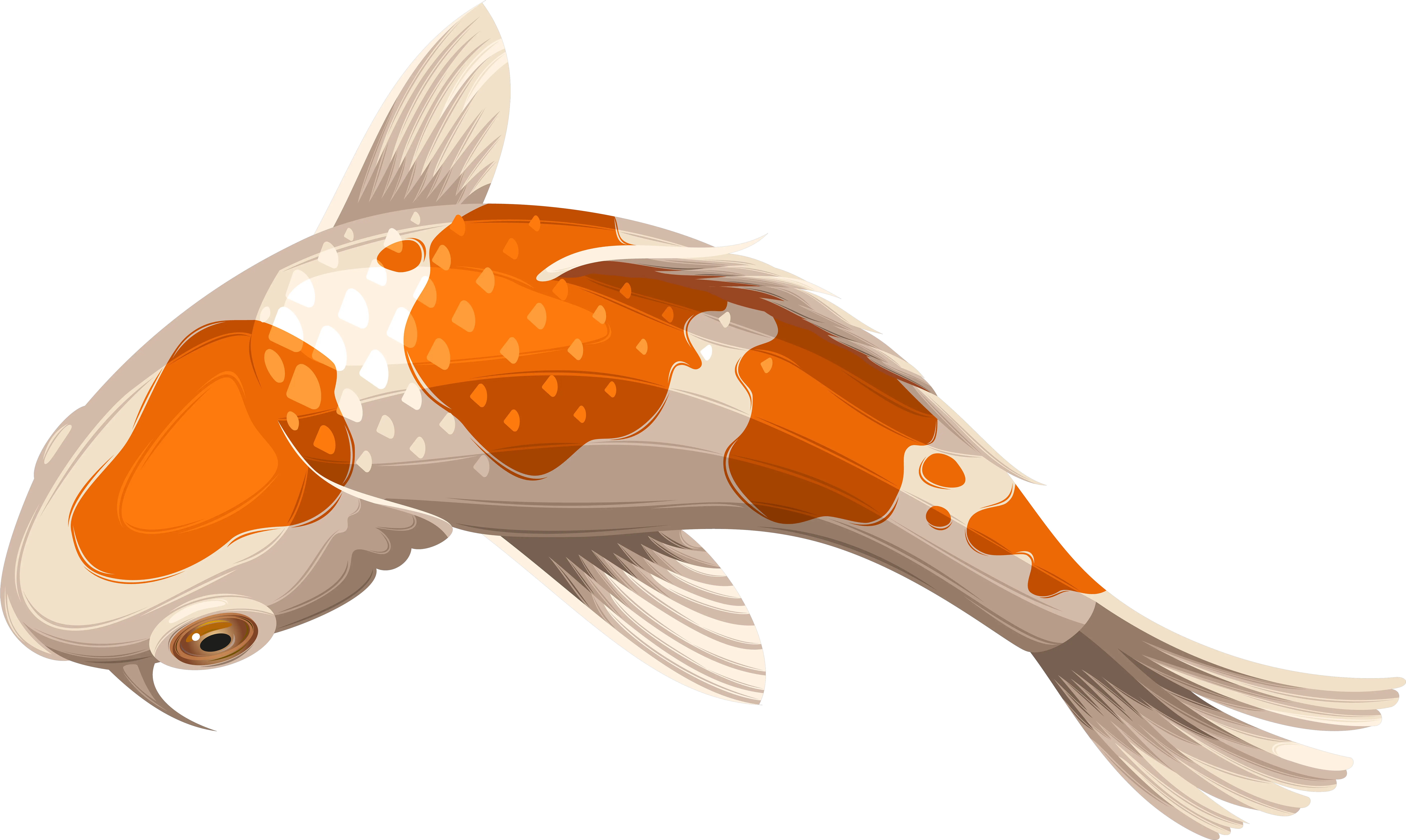 Transparent Fishes Png Koi Fish Transparent Background