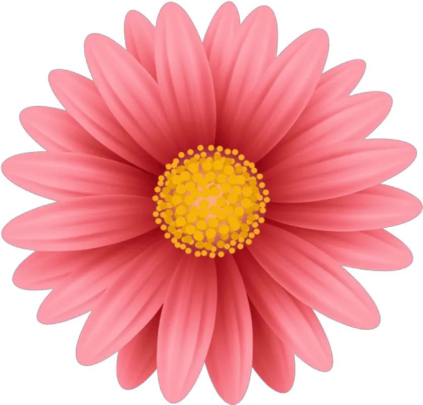 Free Png Red Flower Png Png Images Transparent Pink Flower Png Hd