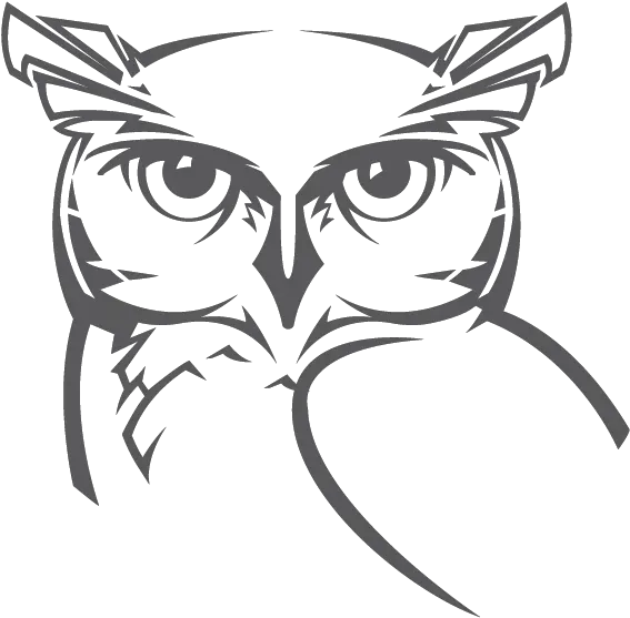 Transparent Wise Owl Clipart Black And White White Owl Png Cartoon