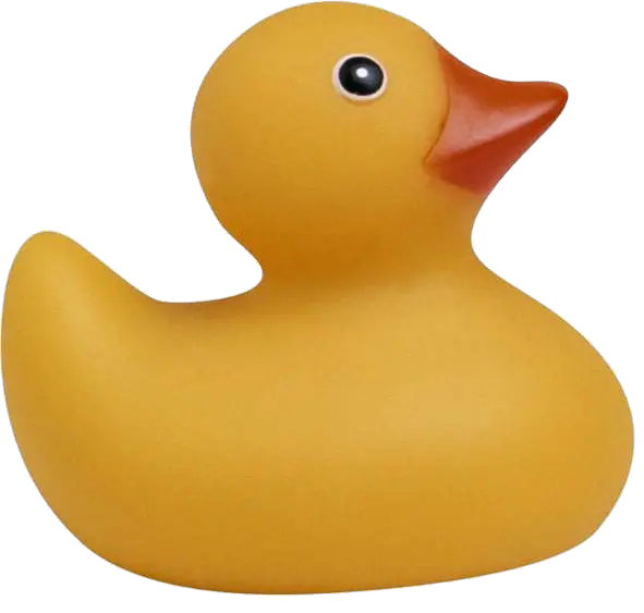 Rubber duck PNG