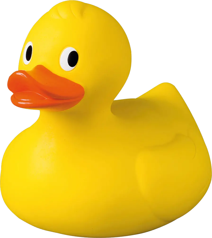 Rubber duck PNG