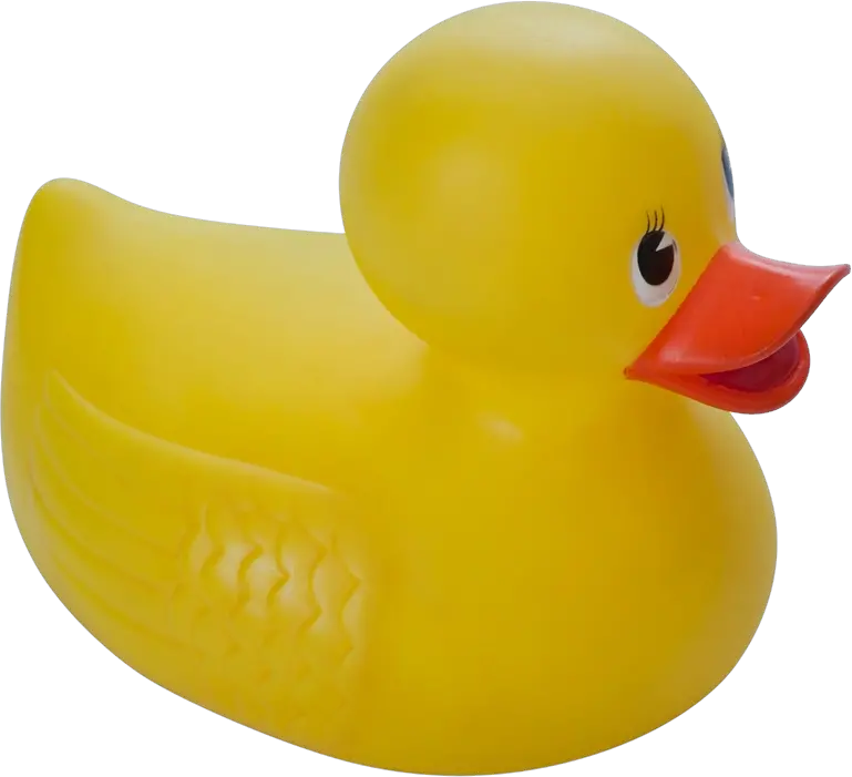 Rubber duck PNG