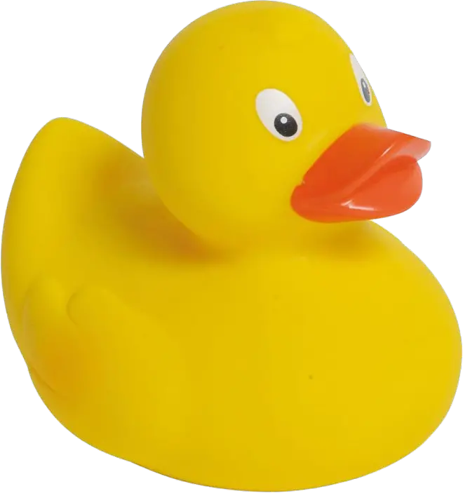 Rubber duck PNG