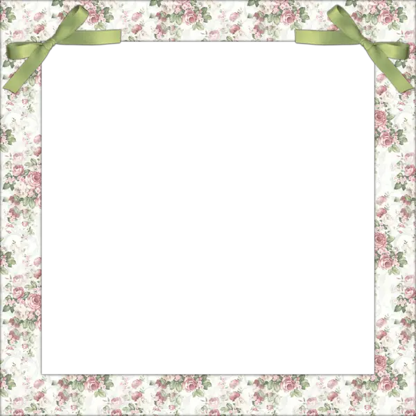 Picture photo frame PNG