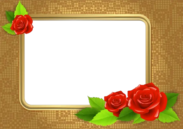 Picture photo frame PNG