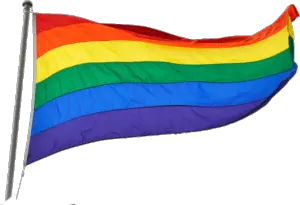 LGBT flag PNG