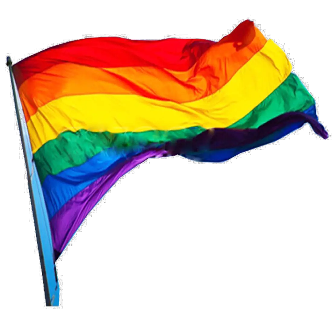 LGBT flag PNG