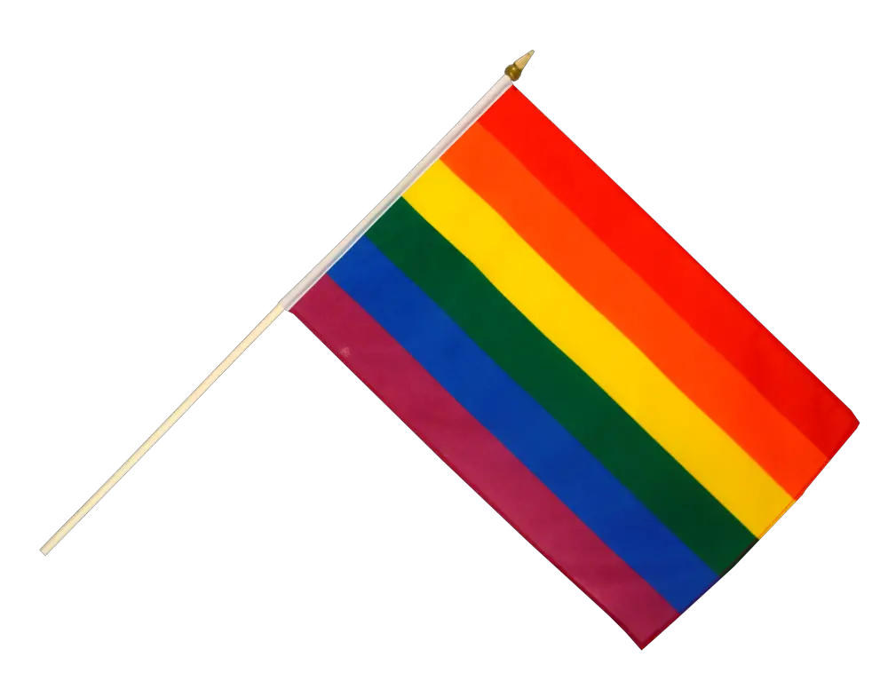 LGBT flag PNG