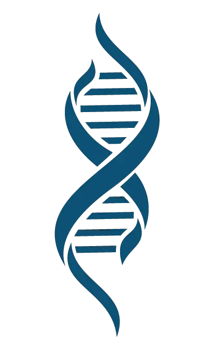 DNA PNG