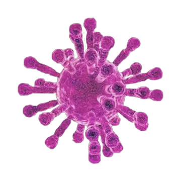 Coronavirus PNG