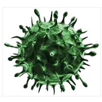 Coronavirus PNG