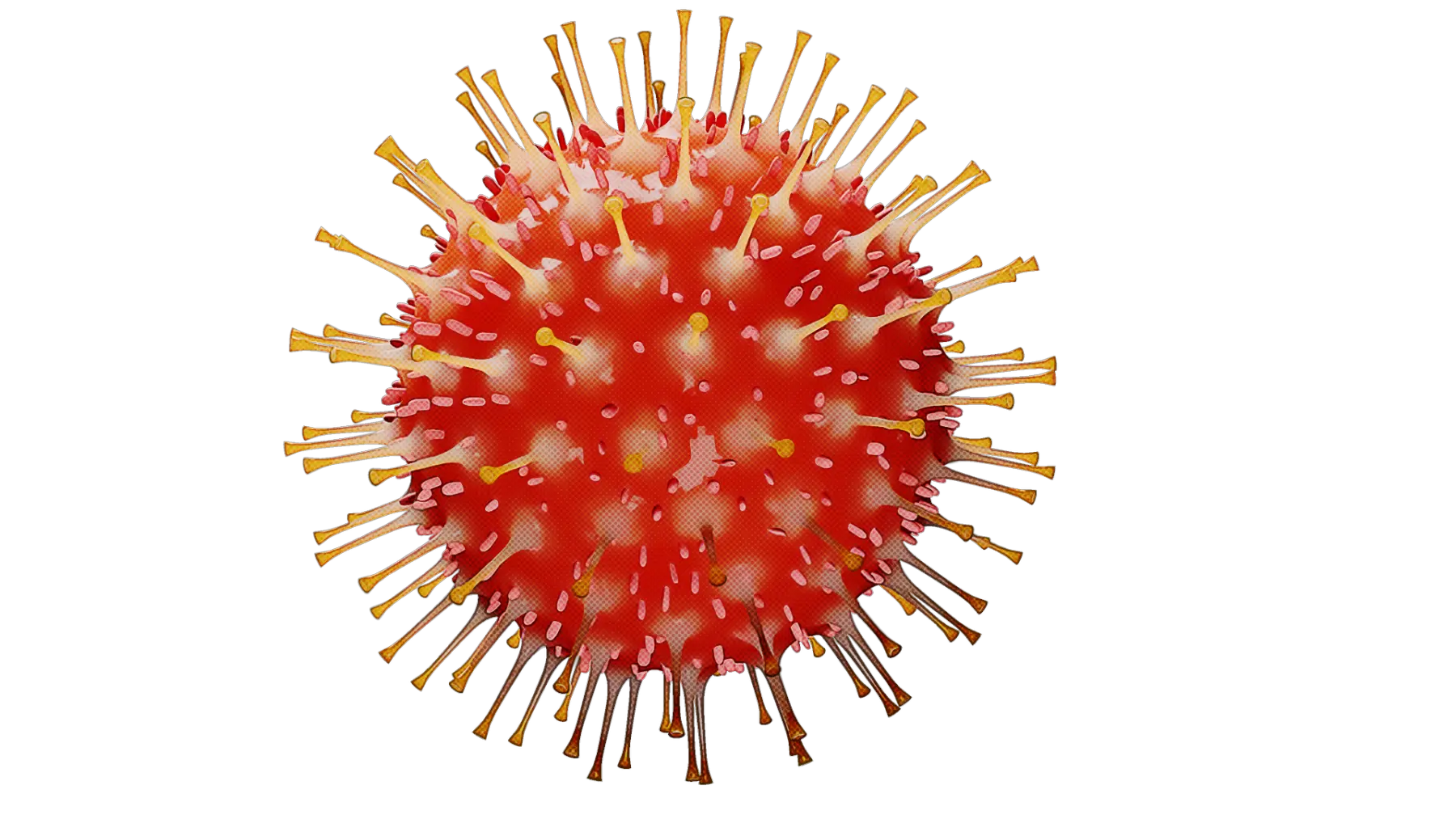 Coronavirus PNG