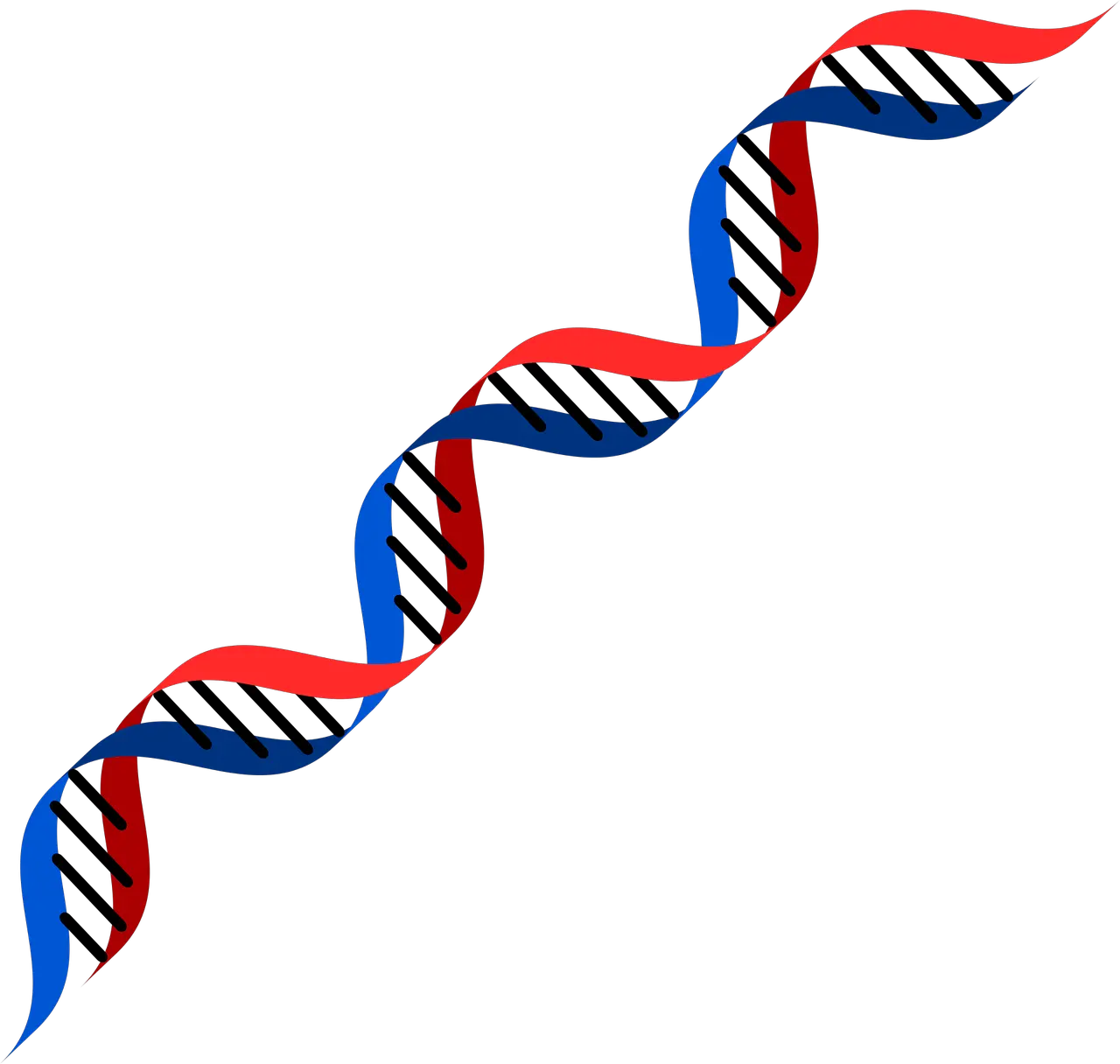 DNA PNG