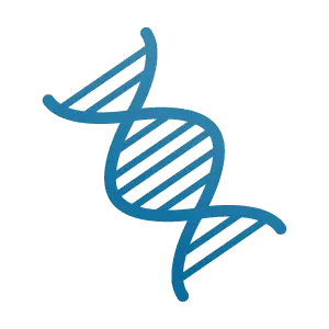 DNA PNG