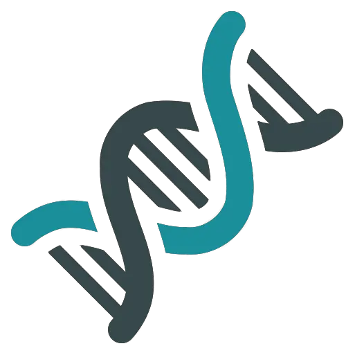 DNA PNG