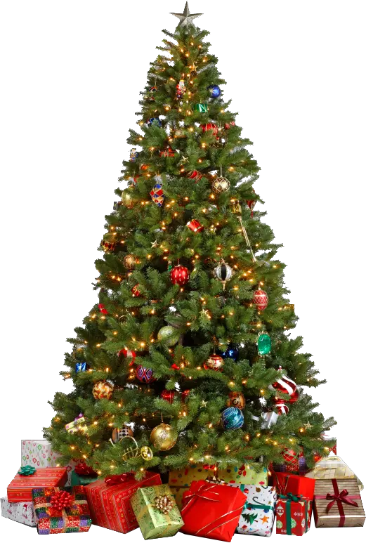 Christmas tree PNG