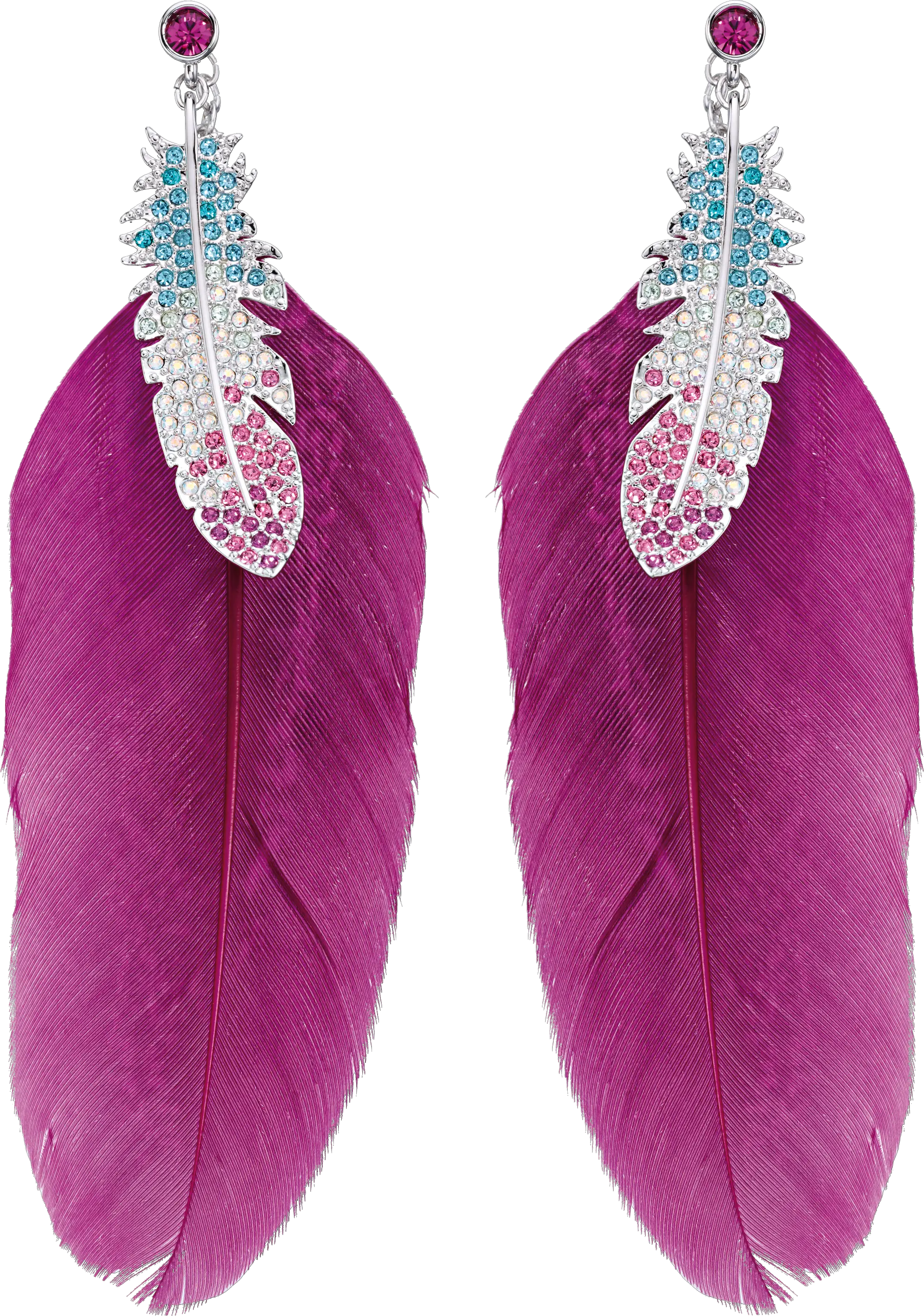 feather earrings PNG image