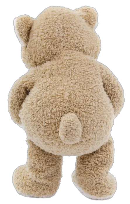 Teddy bear PNG