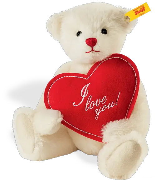 Teddy bear PNG