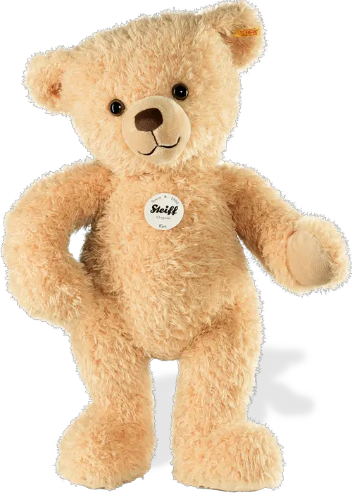 Teddy bear PNG