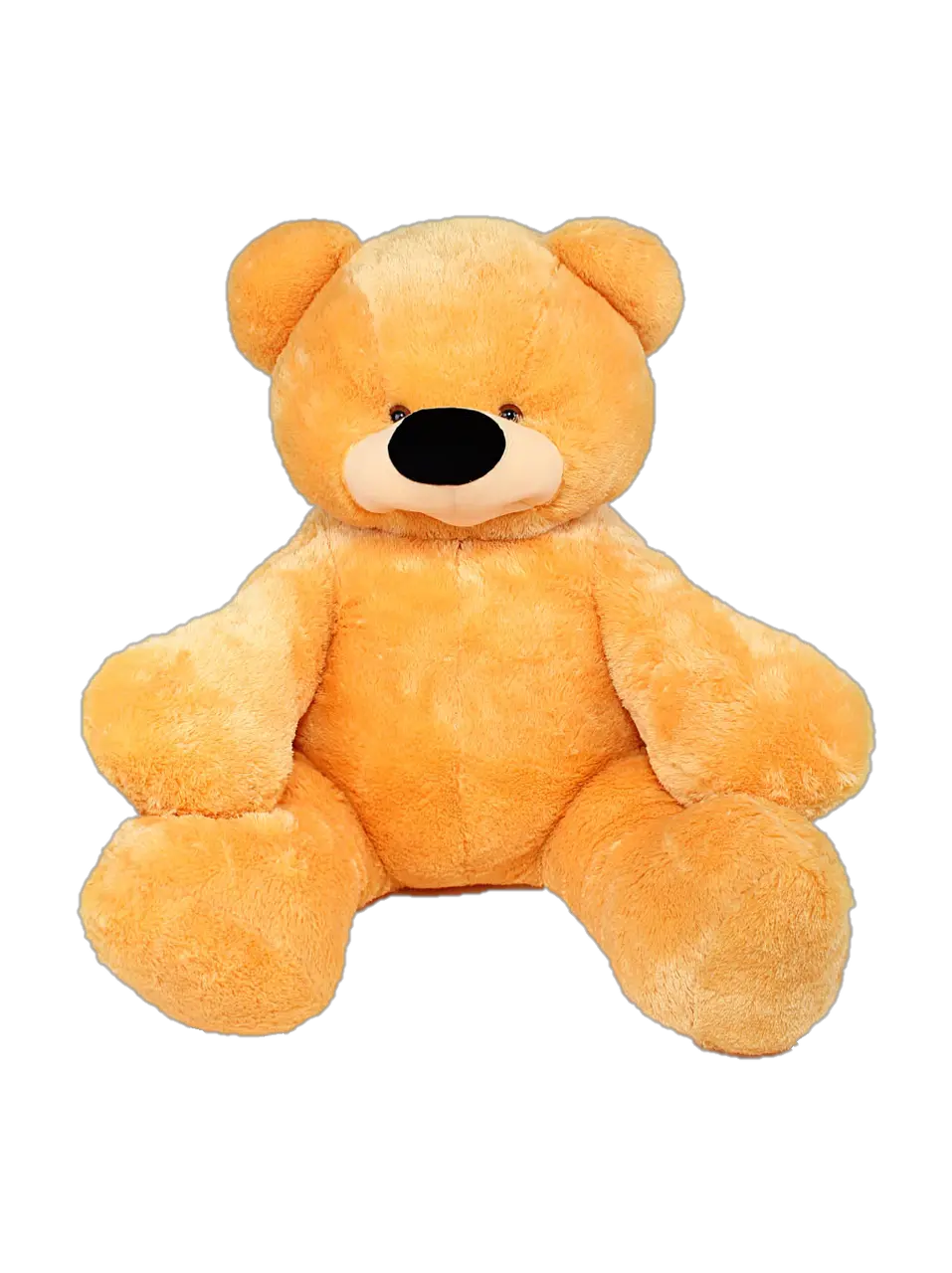 Teddy bear PNG