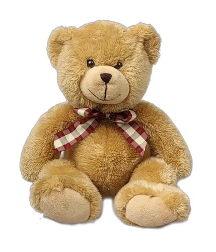 Teddy bear PNG