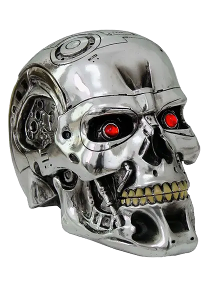 Terminator head PNG