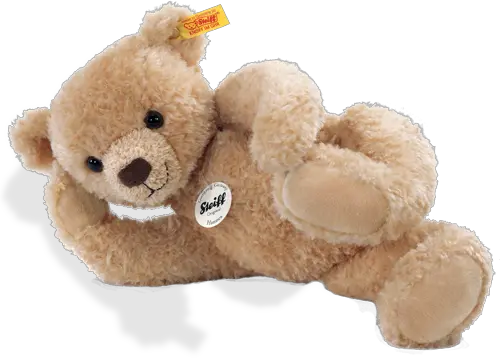 Teddy bear PNG