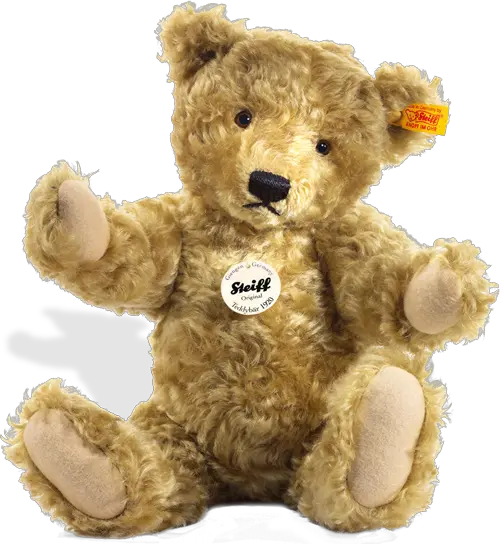 Teddy bear PNG