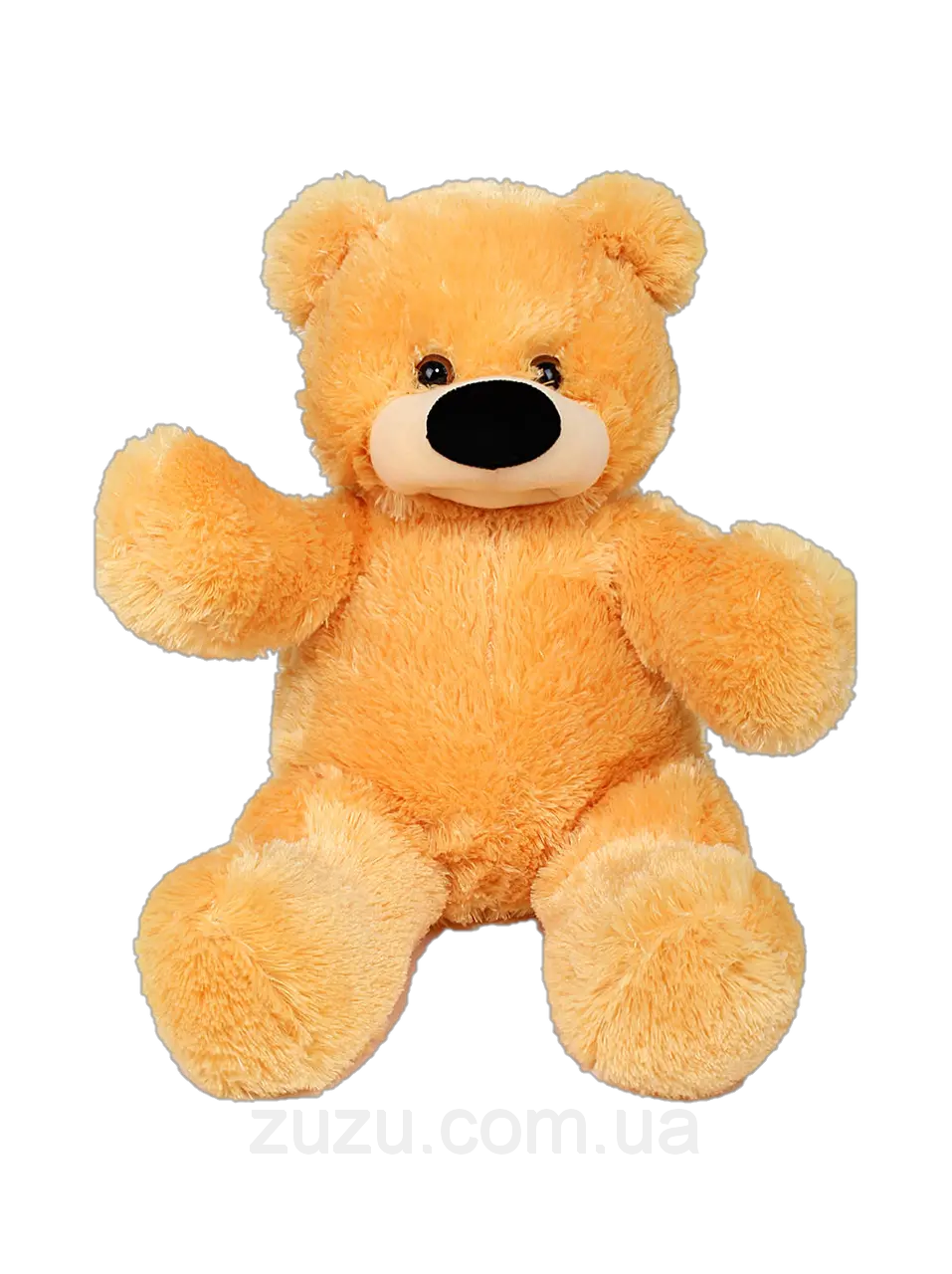 Teddy bear PNG